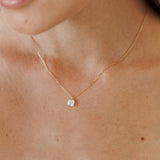 Collares - Loyalty