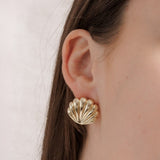 Maxi Aretes - Summer Shell