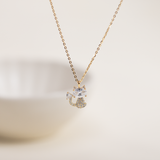 Collares - Mini Gato