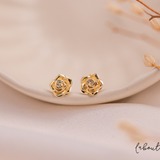 Aretes Mini - Rosita bonita circoncitos