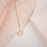 Collares - Punto de Luz