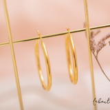 Argollas - Sara L