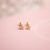 Aretes Mini - Estrella Eterna