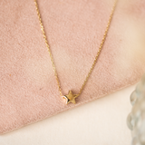 Collares - Estrella Basic