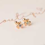 Aretes Mini - Fortuna