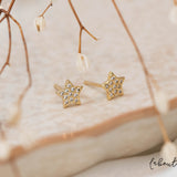 Aretes Mini - Mi Estrella Brillante