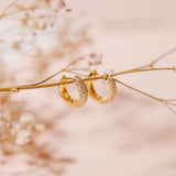 Argollas -  Donas Cristal