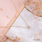 Collares - Punto de Luz