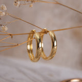 Argollas - Linda M
