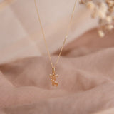 Collares - Perrito Gold
