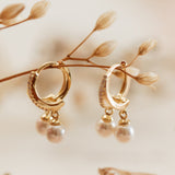 Argollas - Perlas y Circones