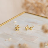 Aretes Mini - Primavera de Flores