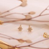 Aretes Mini - Rosetas